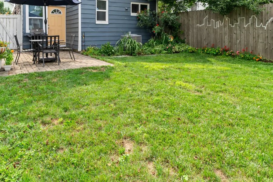 Fenced backyard with level lawn and mature landscaping — photographed by 513Shutter Cincinnati